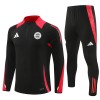 Bayern München Trænings Sweatshirt 2024-25 Kvart-Zip Sort